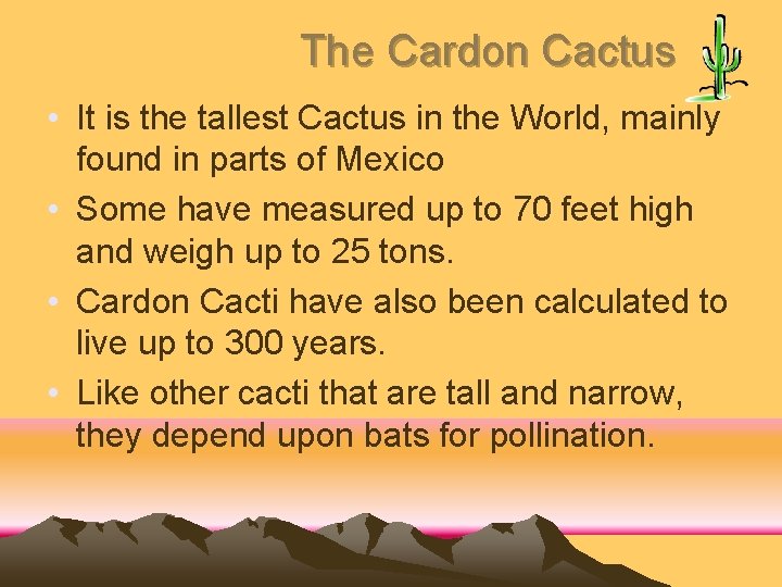 The Cardon Cactus • It is the tallest Cactus in the World, mainly found