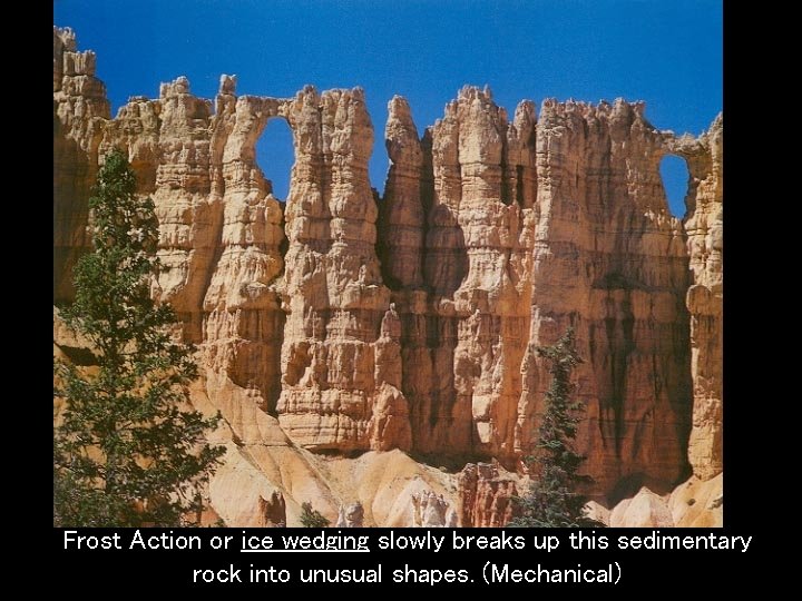 Frost Action or ice wedging slowly breaks up this sedimentary rock into unusual shapes.