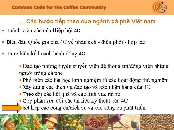 . . Các bước tiếp theo của ngành cà phê Việt nam § Thành
