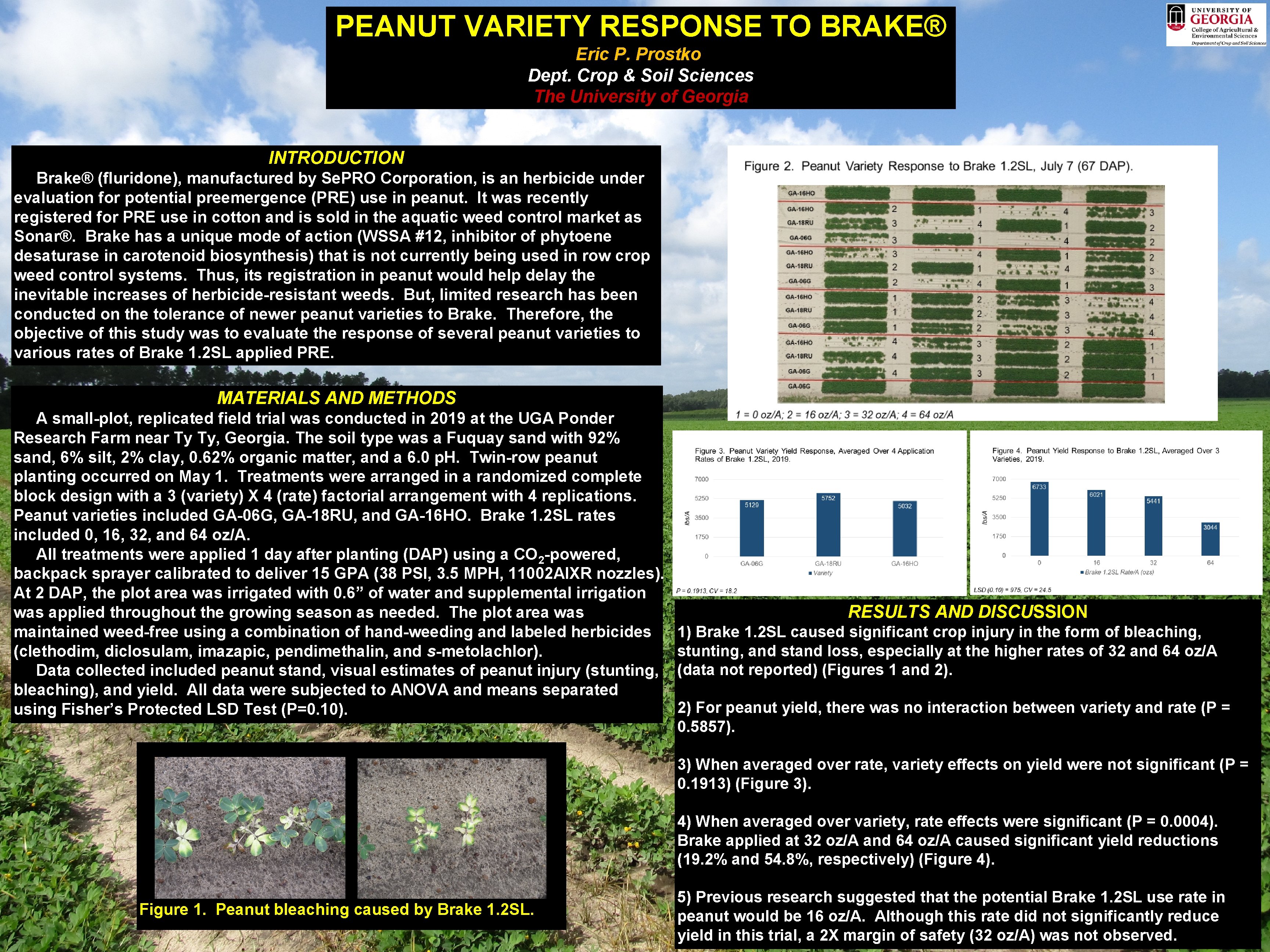 PEANUT VARIETY RESPONSE TO BRAKE® Eric P. Prostko Dept. Crop & Soil Sciences The