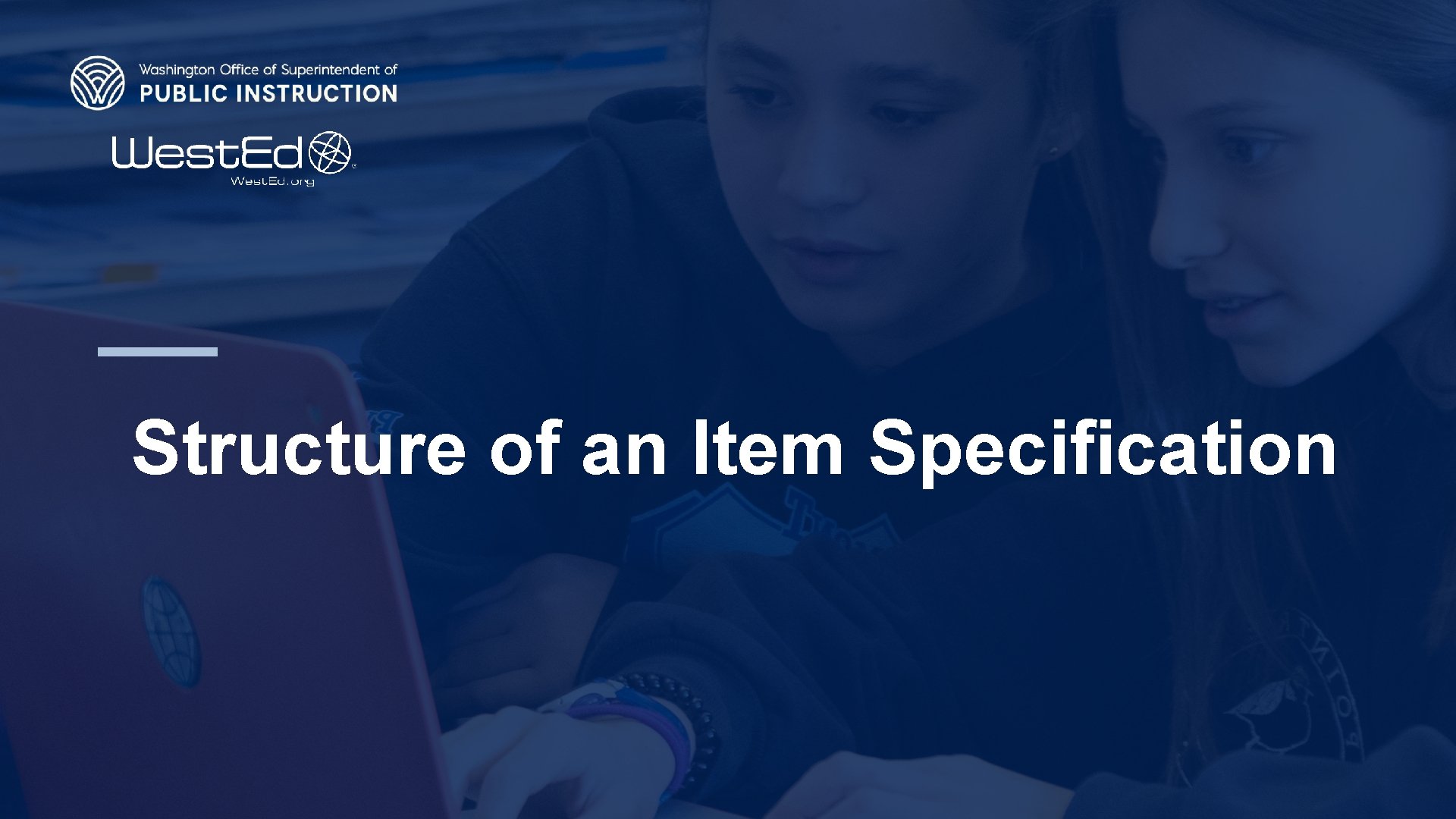 Structure of an Item Specification 12 