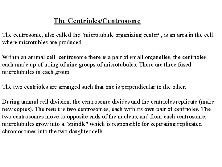 The Centrioles/Centrosome The centrosome, also called the "microtubule organizing center", is an area in