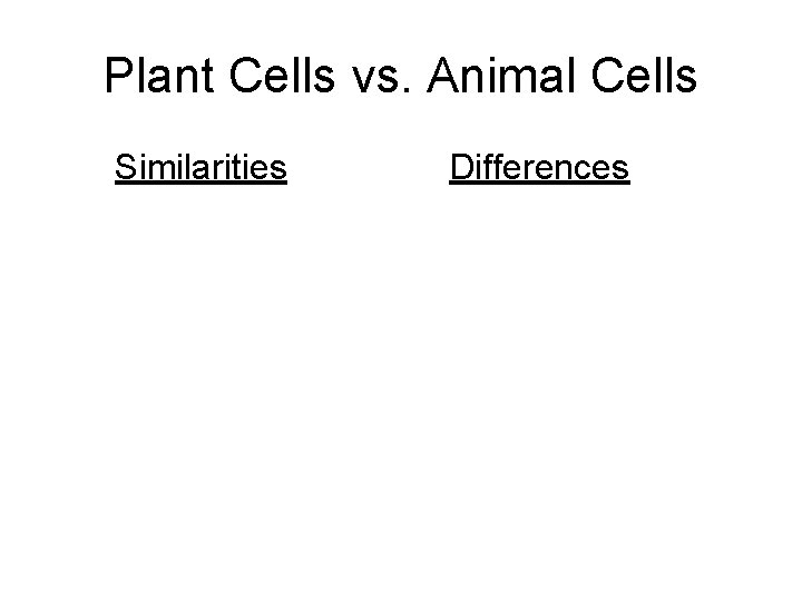 Plant Cells vs. Animal Cells Similarities Differences 