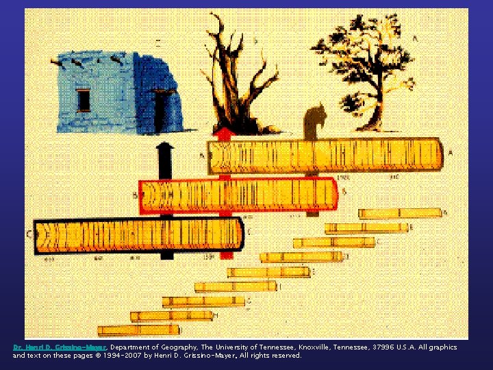 Building a master chronology Dr. Henri D. Grissino-Mayer, Department of Geography, The University of