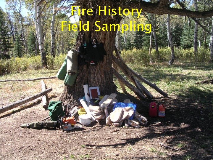 Fire History Field Sampling 