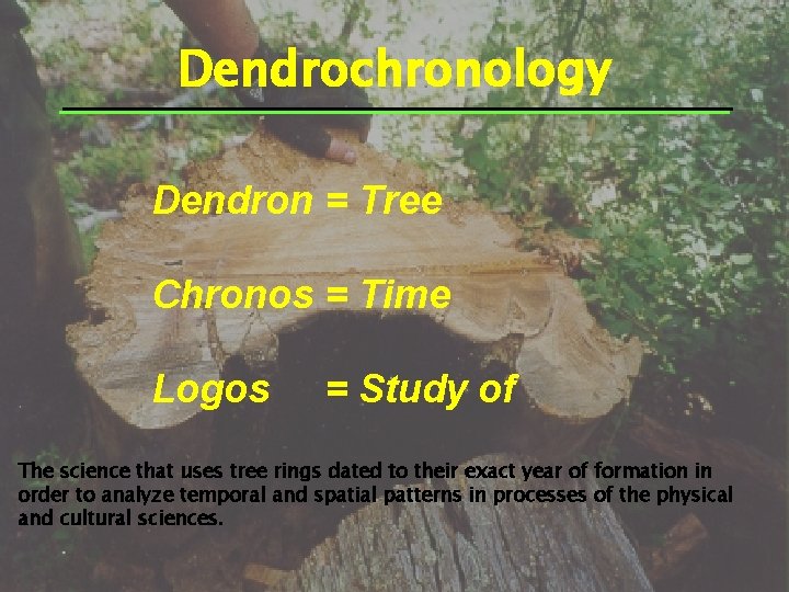 Dendrochronology Dendron = Tree Chronos = Time Logos = Study of The science that