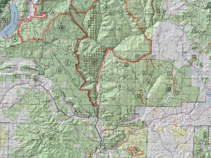 Piedra Area study sites 