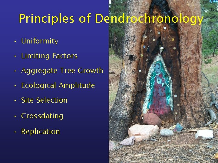 Principles of Dendrochronology • Uniformity • Limiting Factors • Aggregate Tree Growth • Ecological