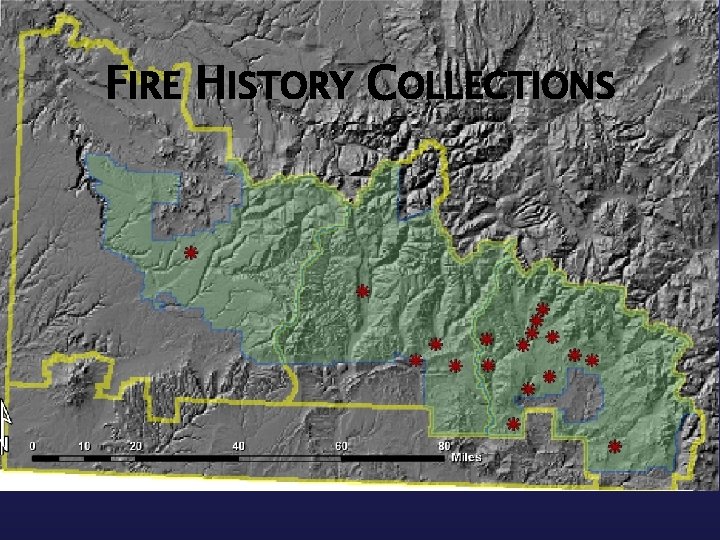 FIRE HISTORY COLLECTIONS 