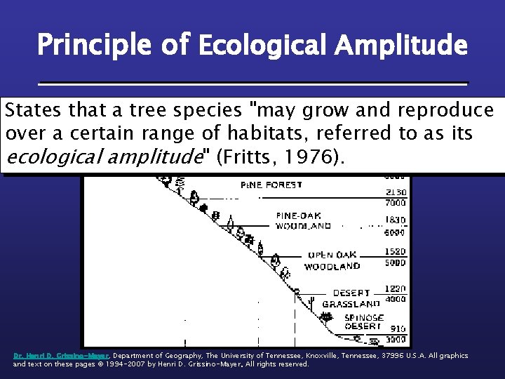 Principle of Ecological Amplitude States that a tree species "may grow and reproduce over