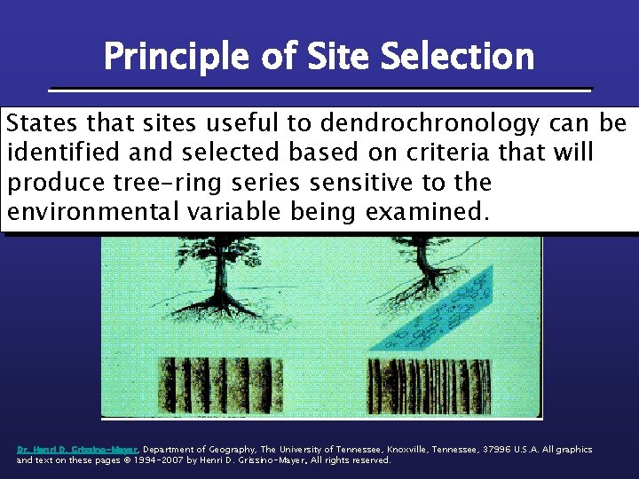 Principle of Site Selection States that sites useful to dendrochronology can be identified and