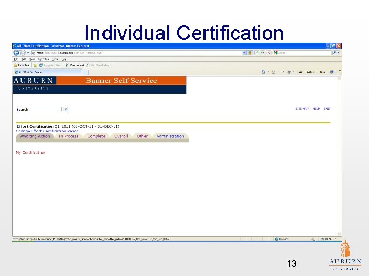 Individual Certification 13 