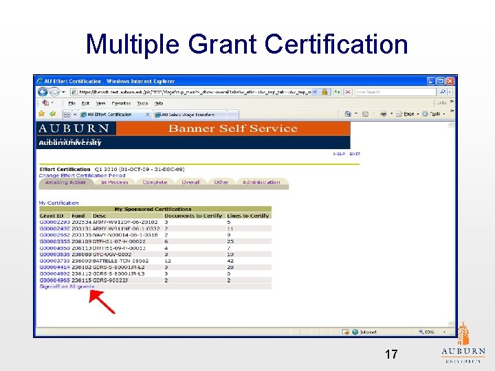 Multiple Grant Certification 17 