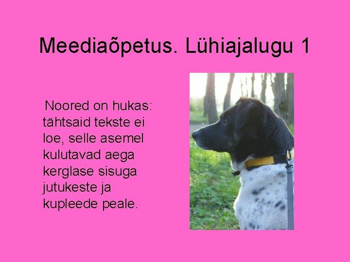Meediaõpetus. Lühiajalugu 1 Noored on hukas: tähtsaid tekste ei loe, selle asemel kulutavad aega Meediaõpetus. Lühiajalugu 1 Noored on hukas: tähtsaid tekste ei loe, selle asemel kulutavad aega
