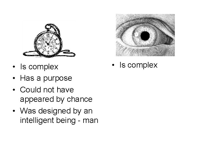  • Is complex • Has a purpose • Could not have appeared by