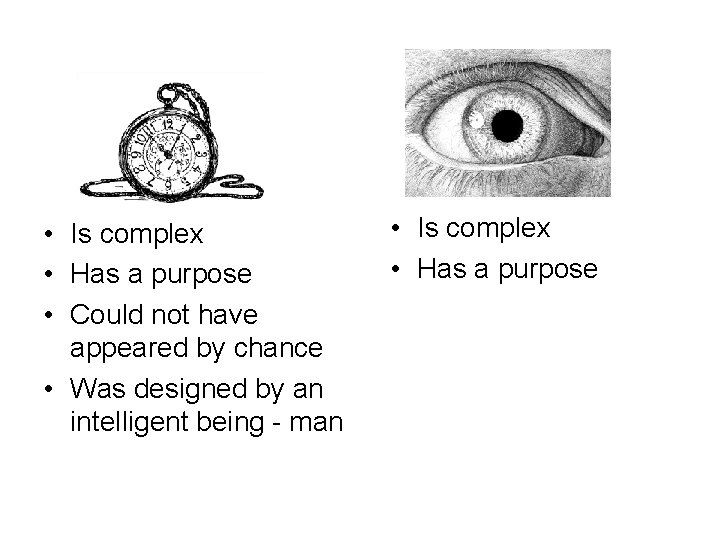  • Is complex • Has a purpose • Could not have appeared by