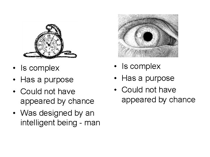  • Is complex • Has a purpose • Could not have appeared by