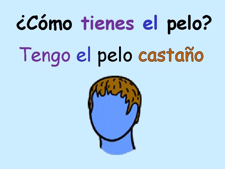 ¿Cómo tienes el pelo? Tengo el pelo castaño 