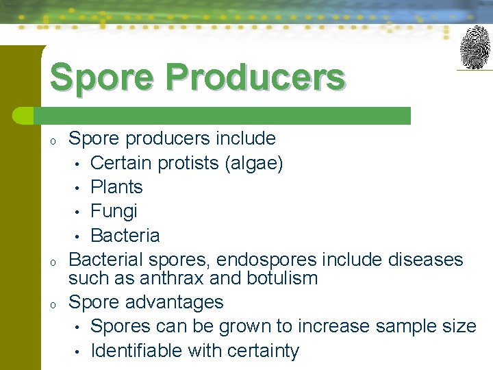 Spore Producers o o o Spore producers include • Certain protists (algae) • Plants