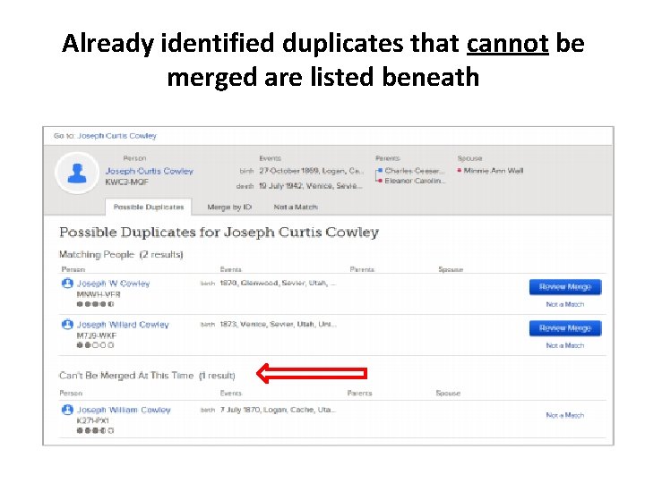 Already identified duplicates that cannot be merged are listed beneath 