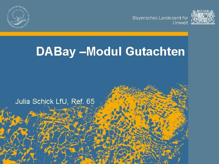Bayerisches Landesamt für Umwelt DABay –Modul Gutachten Julia Schick Lf. U, Ref. 65 