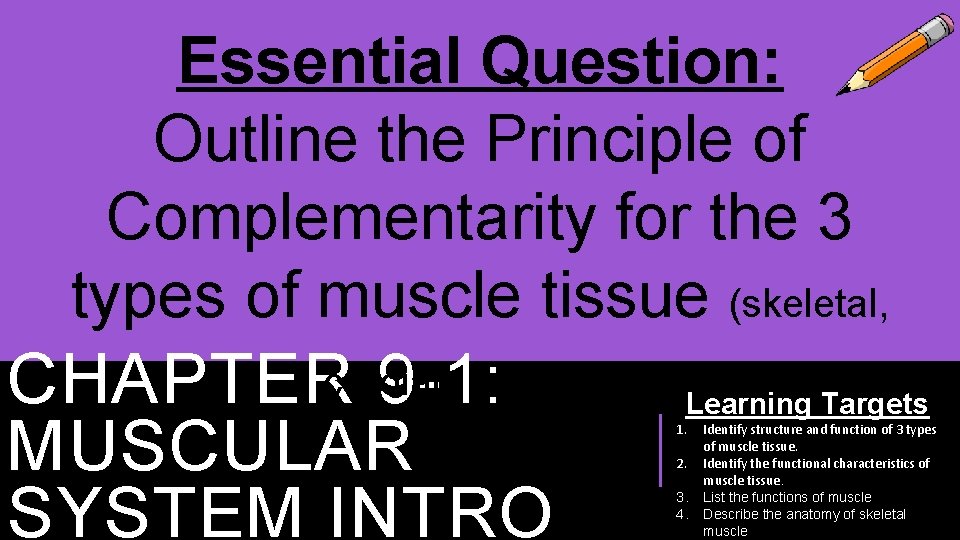 Essential Question Outline the Principle of Complementarity for