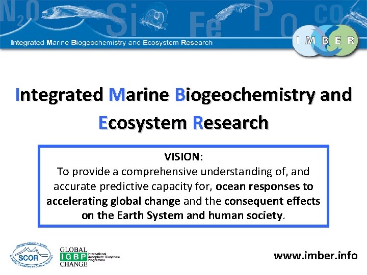 Integrated Marine Biogeochemistry and Ecosystem Research VISION: To provide a comprehensive understanding of, and