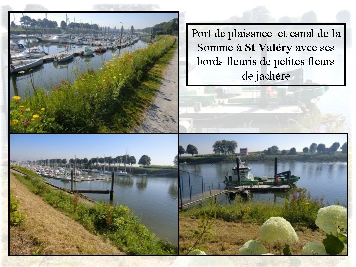 Port de plaisance et canal de la Somme à St Valéry avec ses bords