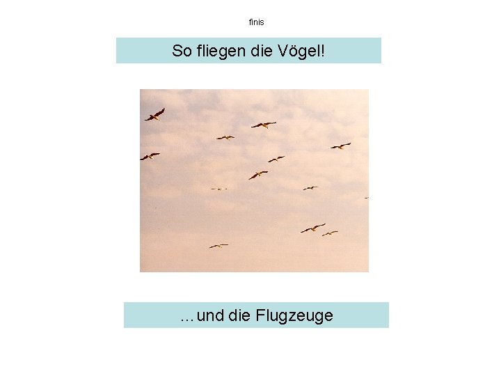 finis So fliegen die Vögel! …und die Flugzeuge 