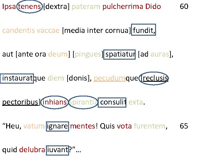 Ipsa tenens [dextra] pateram pulcherrima Dido 60 candentis vaccae [media inter cornua] fundit, aut