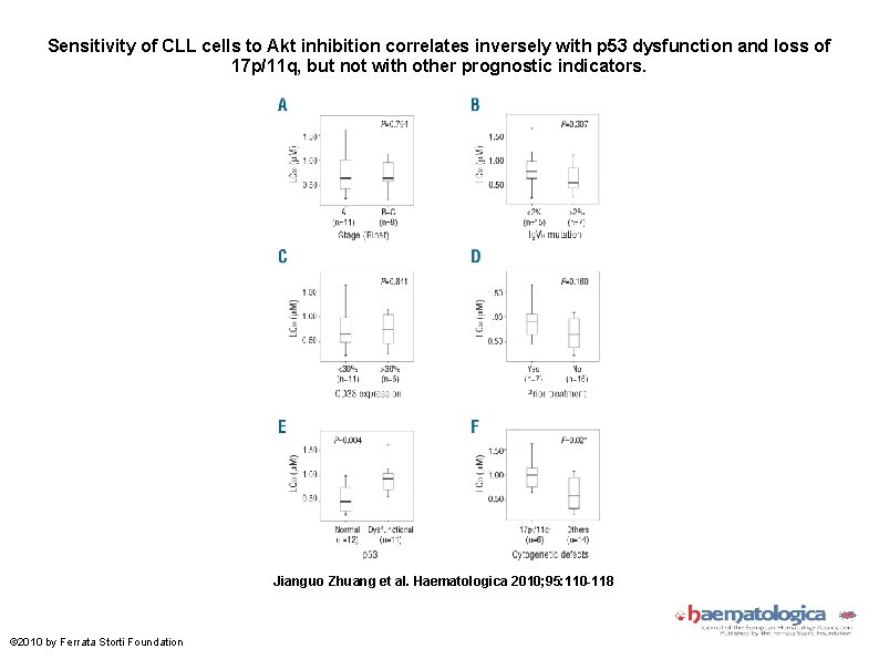 Sensitivity of CLL cells to Akt inhibition correlates inversely with p 53 dysfunction and