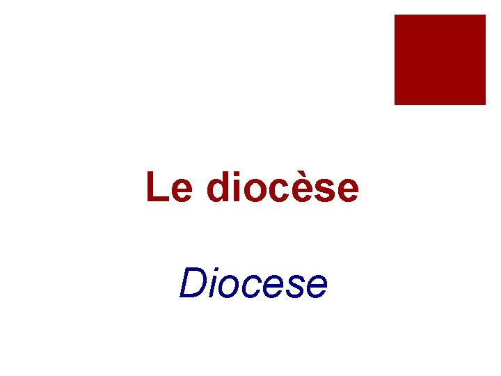 Le diocèse Diocese 