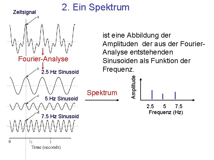 2. Ein Spektrum Fourier-Analyse 2. 5 Hz Sinusoid 7. 5 Hz Sinusoid ist eine