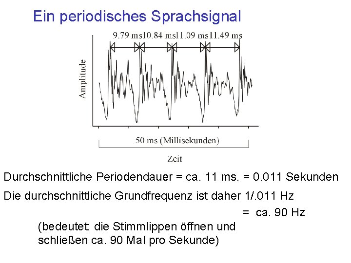 Ein periodisches Sprachsignal Durchschnittliche Periodendauer = ca. 11 ms. = 0. 011 Sekunden Die