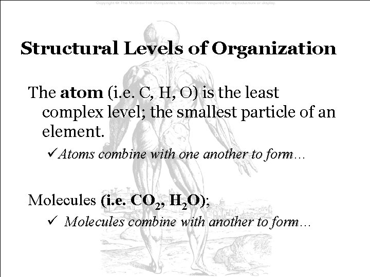 Structural Levels of Organization The atom (i. e. C, H, O) is the least Structural Levels of Organization The atom (i. e. C, H, O) is the least