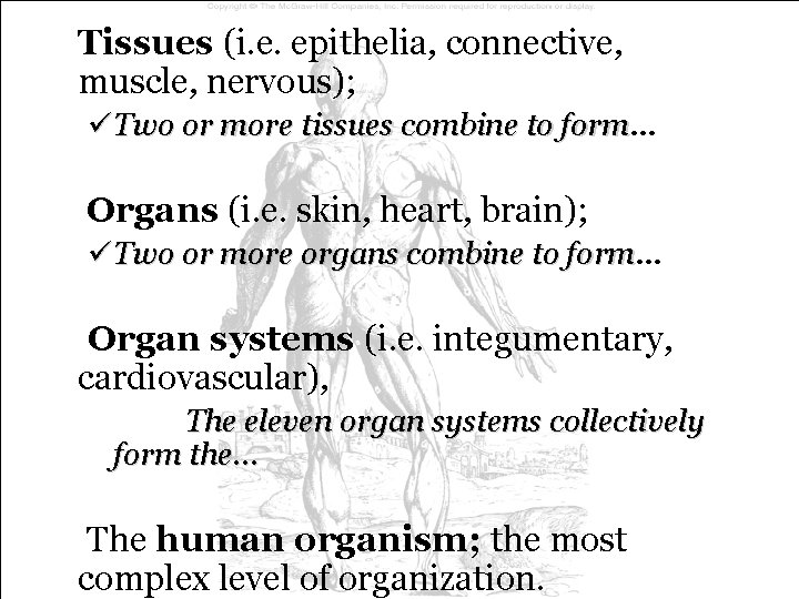 Tissues (i. e. epithelia, connective, muscle, nervous); üTwo or more tissues combine to form… Tissues (i. e. epithelia, connective, muscle, nervous); üTwo or more tissues combine to form…