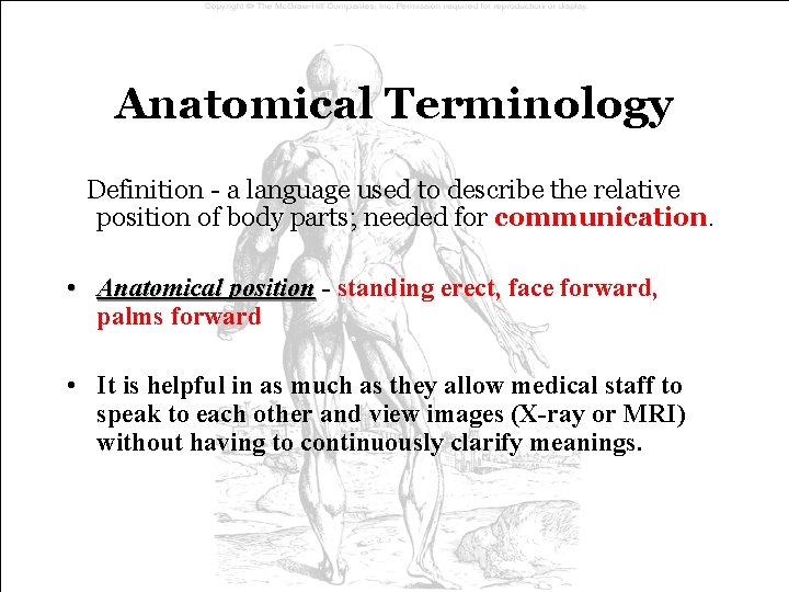 Anatomical Terminology Definition - a language used to describe the relative position of body Anatomical Terminology Definition - a language used to describe the relative position of body