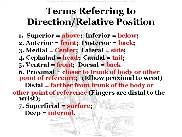 Terms Referring to Direction/Relative Position 1. Superior = above; Inferior = below; 2. Anterior Terms Referring to Direction/Relative Position 1. Superior = above; Inferior = below; 2. Anterior