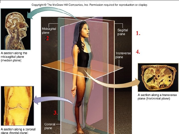 1. 2. 2 4. 3. 1. 2. 2 4. 3.