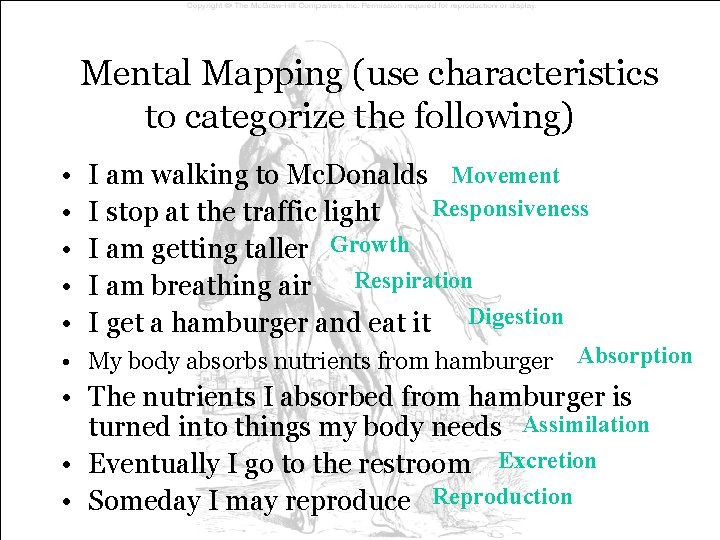 Mental Mapping (use characteristics to categorize the following) • • • I am walking Mental Mapping (use characteristics to categorize the following) • • • I am walking