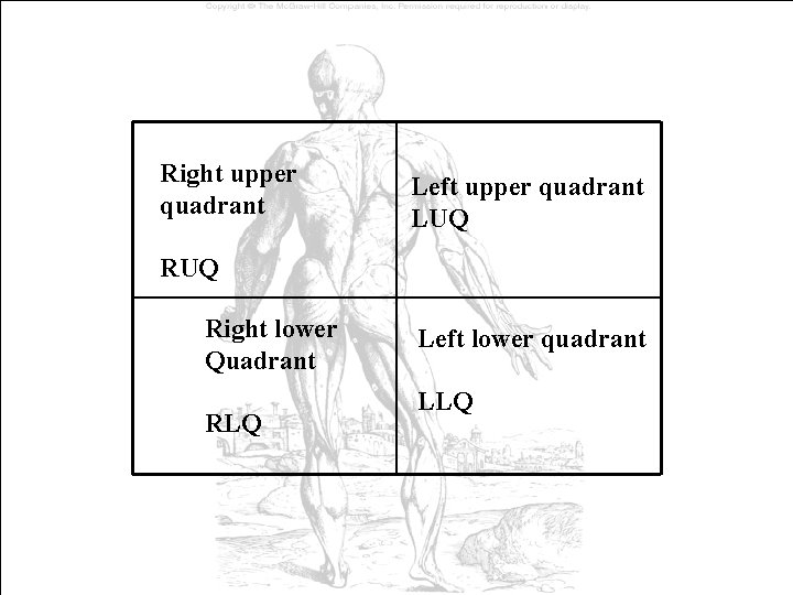 Right upper quadrant Left upper quadrant LUQ Right lower Quadrant RLQ Left lower quadrant Right upper quadrant Left upper quadrant LUQ Right lower Quadrant RLQ Left lower quadrant