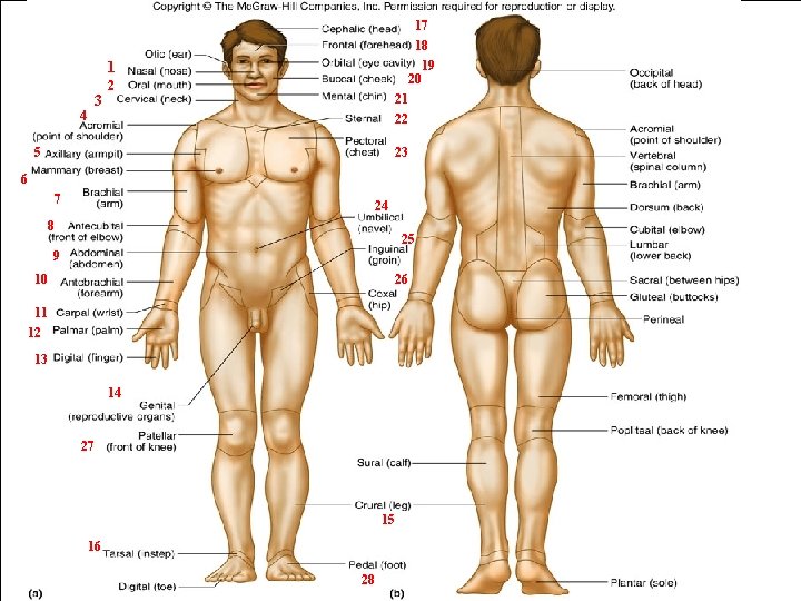 17 18 19 20 1 3 4 2 21 22 5 23 6 7 17 18 19 20 1 3 4 2 21 22 5 23 6 7