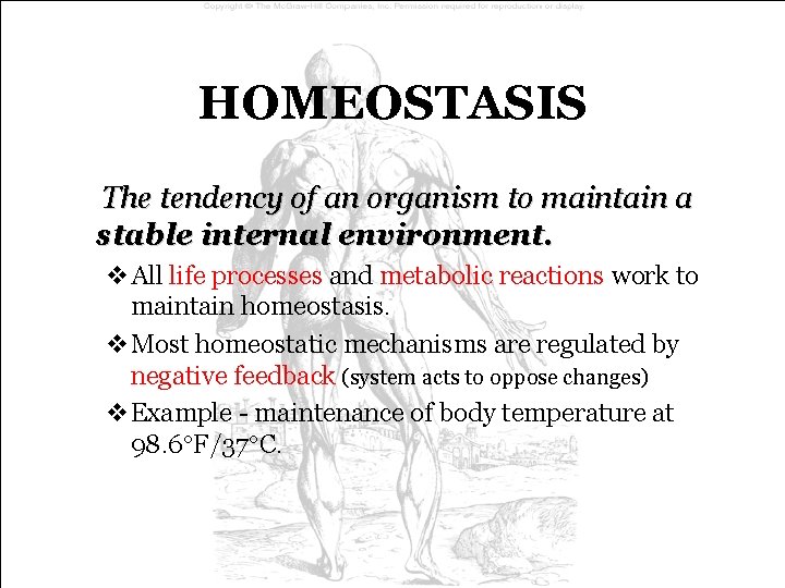 HOMEOSTASIS The tendency of an organism to maintain a stable internal environment. v. All HOMEOSTASIS The tendency of an organism to maintain a stable internal environment. v. All