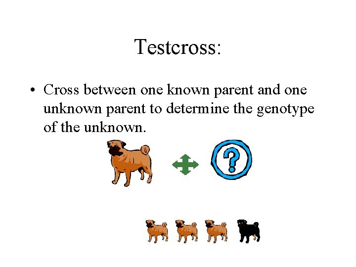Testcross: • Cross between one known parent and one unknown parent to determine the Testcross: • Cross between one known parent and one unknown parent to determine the