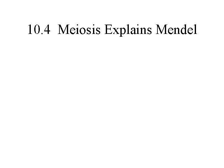 10. 4 Meiosis Explains Mendel 10. 4 Meiosis Explains Mendel