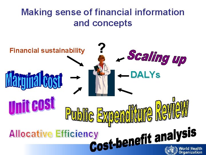 Making sense of financial information and concepts Financial sustainability ? DALYs 