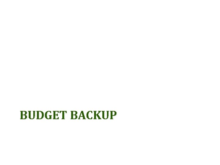 BUDGET BACKUP 