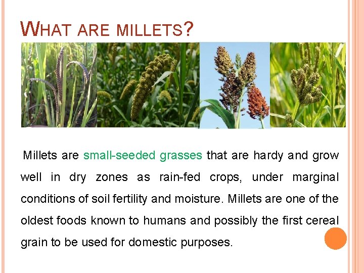 Millets Introduction WHO CONTROLS YOUR FOOD Just observe these Large