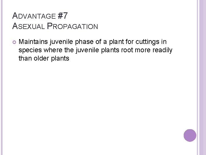 ADVANTAGE #7 ASEXUAL PROPAGATION Maintains juvenile phase of a plant for cuttings in species