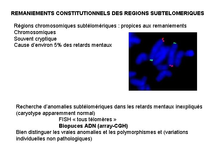 REMANIEMENTS CONSTITUTIONNELS DES REGIONS SUBTELOMERIQUES Régions chromosomiques subtélomériques : propices aux remaniements Chromosomiques Souvent